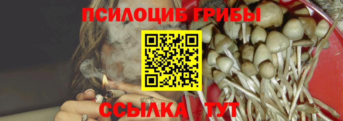 Галлюциногенные грибы Psilocybine cubensis Ноябрьск